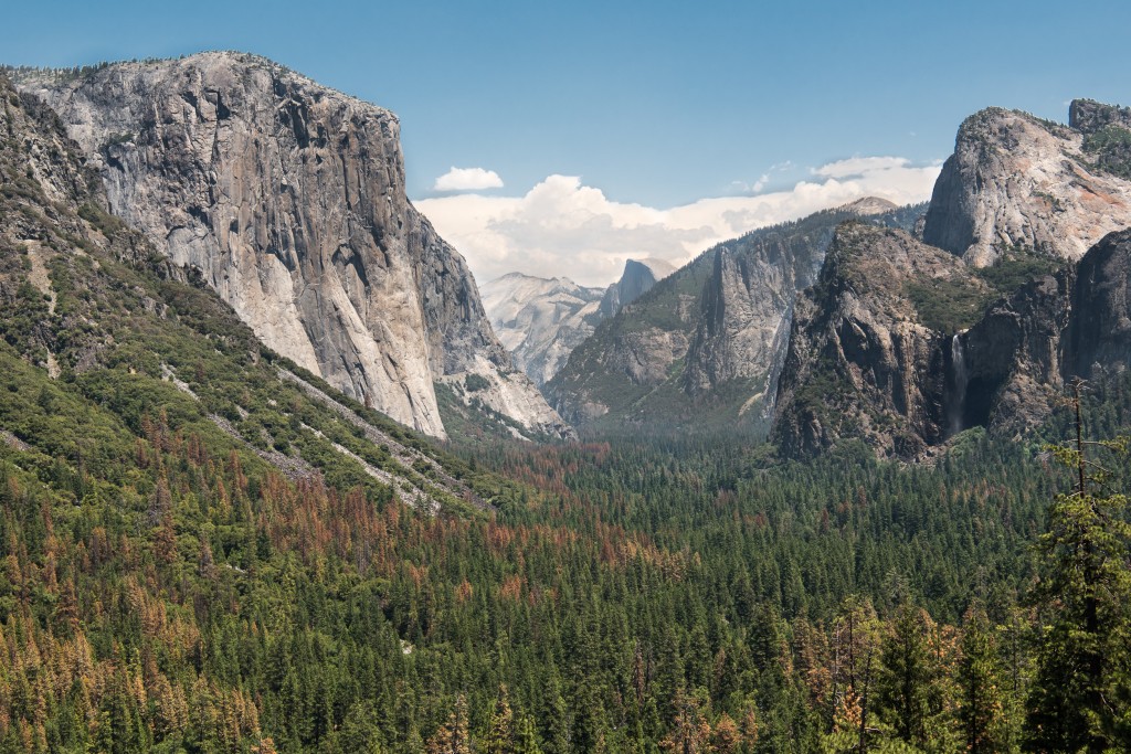 Galleries-Yosemite-1